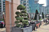 eaw15-0904city_32