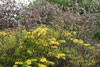 eaw17-2004east_109
