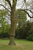eaw17-2004east_117