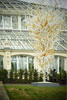 eaw19-2504kew_11