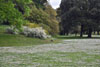 eaw19-2504kew_16