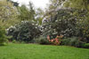 eaw19-2504kew_17
