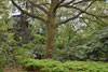 eaw19-2504kew_18