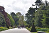 eaw19-2504kew_21