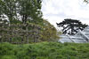 eaw19-2504kew_51