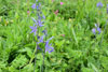 eaw19-2504kew_62