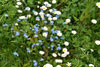 eaw19-2504kew_64