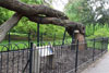 eaw19-2504kew_65