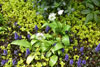 eaw19-2504kew_67