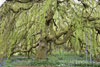 eaw19-2504kew_68
