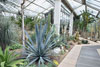 eaw19-2504kew_73