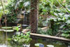eaw19-2504kew_77