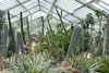 eaw19-2504kew_79