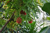 eaw19-2504kew_81