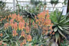 eaw19-2504kew_81
