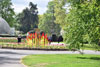 eaw19-2504kew_89