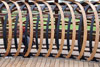 eaw19-2504kew_92
