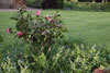 eaw19_2604val-20
