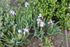 eaw19_2604val-22