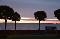 imwe19_126