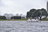 rn_agm19-ea_06